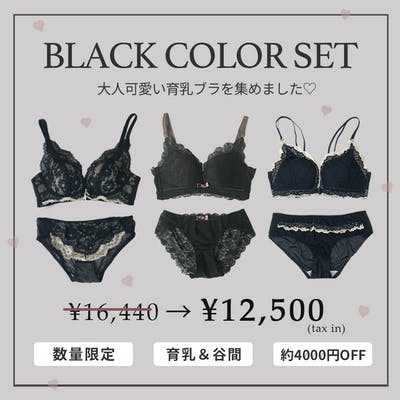 【数量限定4,000円以上OFF】谷間盛れ抜群！大人可愛い「BLACK COLOR」3点セット お一人様２点まで