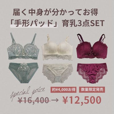 【数量限定4,000円以上OFF】離れ胸＆垂れ胸おすすめ「手形パッド」3点セット